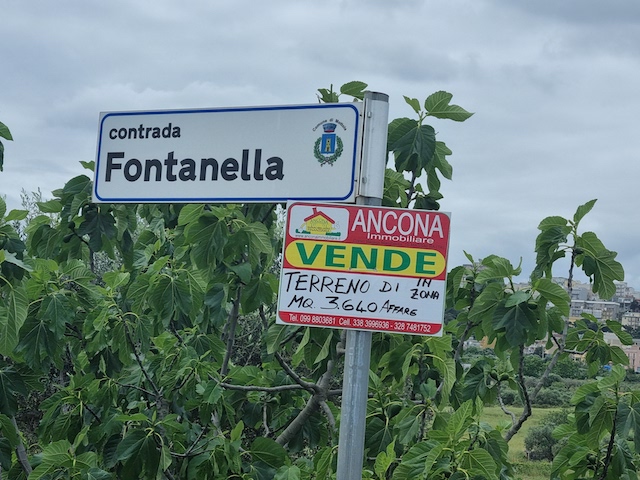 ancona-immobiliare_1781_0_1747405821.jpg