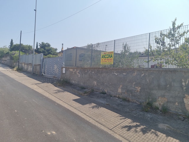 ancona-immobiliare_1793_0_1749738358.jpg