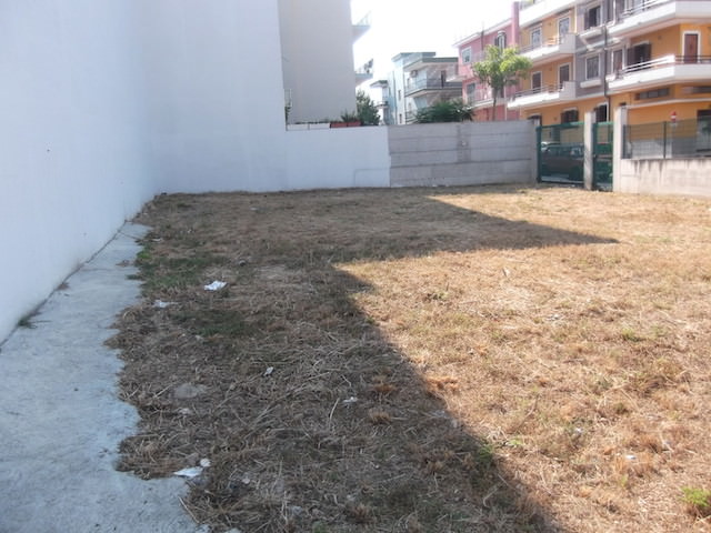 ancona-immobiliare_816_1434012657.jpg
