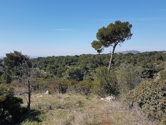 ancona-immobiliare_985_1489693447.jpg
